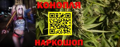 соль ск Изобильный