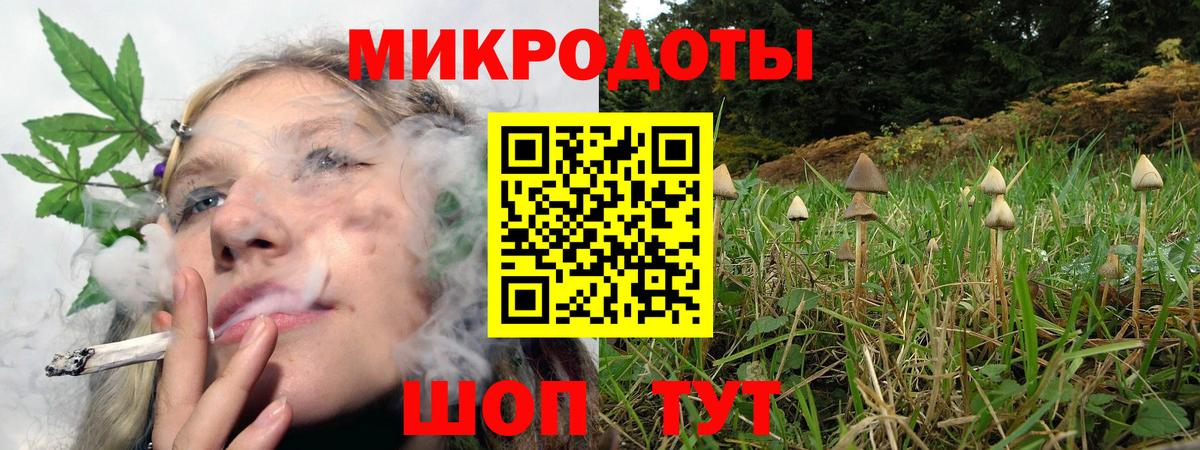 Галлюциногенные грибы Psilocybine cubensis  Вход с VPN  Ленинск-Кузнецкий 